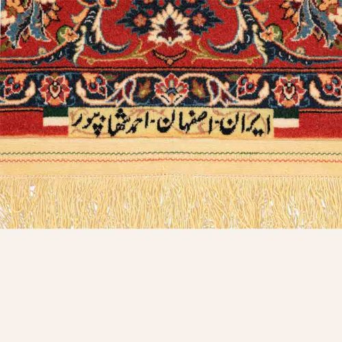 productdetailpage-7-800x800